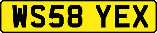WS58YEX