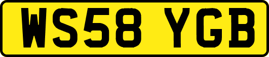 WS58YGB