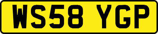 WS58YGP