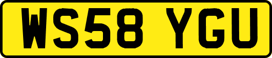 WS58YGU