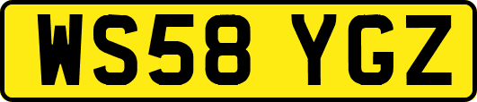 WS58YGZ