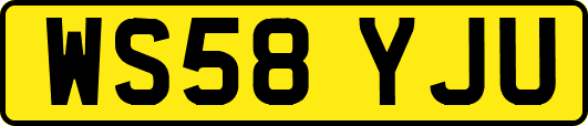 WS58YJU