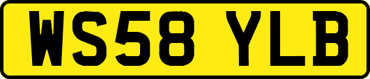 WS58YLB