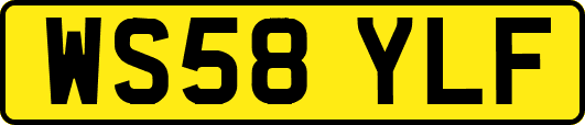WS58YLF