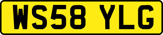 WS58YLG
