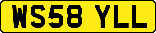 WS58YLL