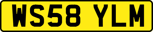 WS58YLM