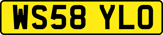 WS58YLO