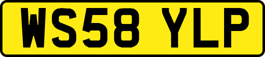 WS58YLP
