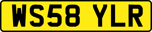 WS58YLR