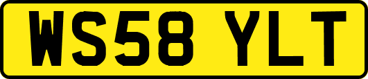 WS58YLT