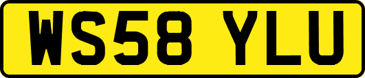 WS58YLU