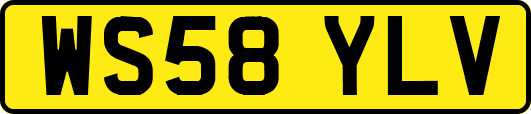 WS58YLV