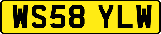 WS58YLW
