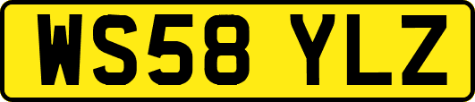 WS58YLZ