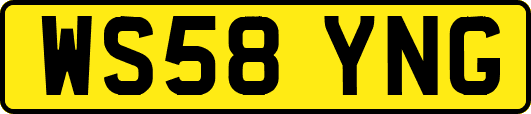 WS58YNG