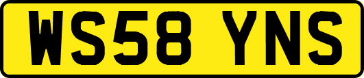 WS58YNS
