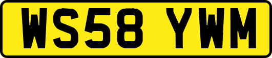 WS58YWM