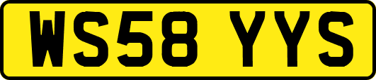 WS58YYS