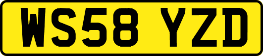 WS58YZD
