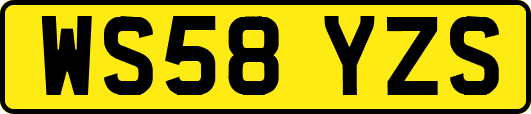 WS58YZS