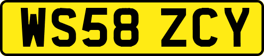 WS58ZCY