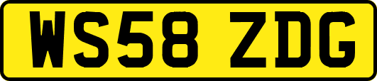 WS58ZDG