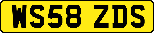 WS58ZDS