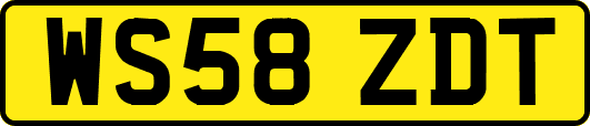 WS58ZDT