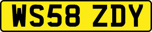 WS58ZDY