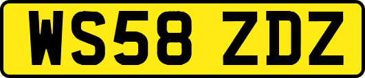 WS58ZDZ