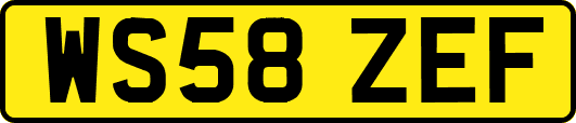 WS58ZEF