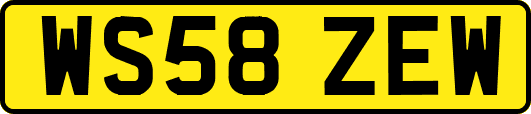 WS58ZEW