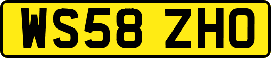 WS58ZHO