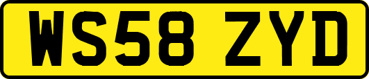 WS58ZYD