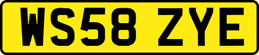 WS58ZYE