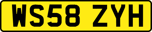 WS58ZYH