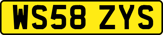 WS58ZYS