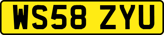 WS58ZYU