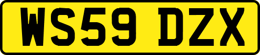 WS59DZX