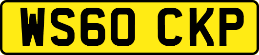 WS60CKP