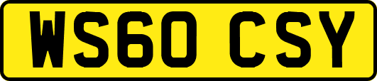 WS60CSY