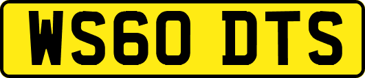 WS60DTS