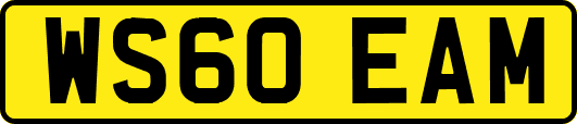 WS60EAM