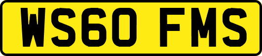 WS60FMS