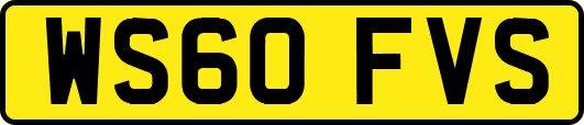 WS60FVS
