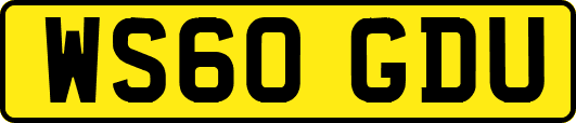 WS60GDU