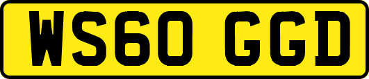 WS60GGD