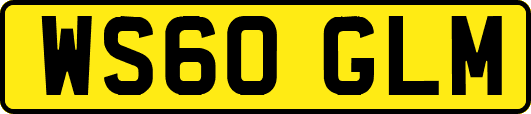 WS60GLM