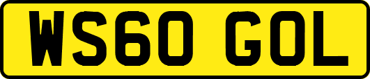 WS60GOL